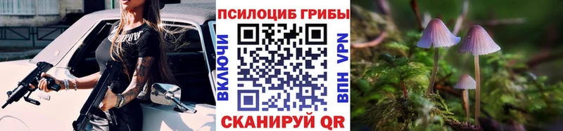 наркотики  Руза  Галлюциногенные грибы Psilocybe 